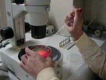 高端医疗服务：国外深圳试管婴儿医院的优势与特色