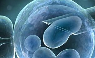 深圳地区有哪些私立的机构可以做试管技术？影响试管婴儿成功率主要的因素有哪些？